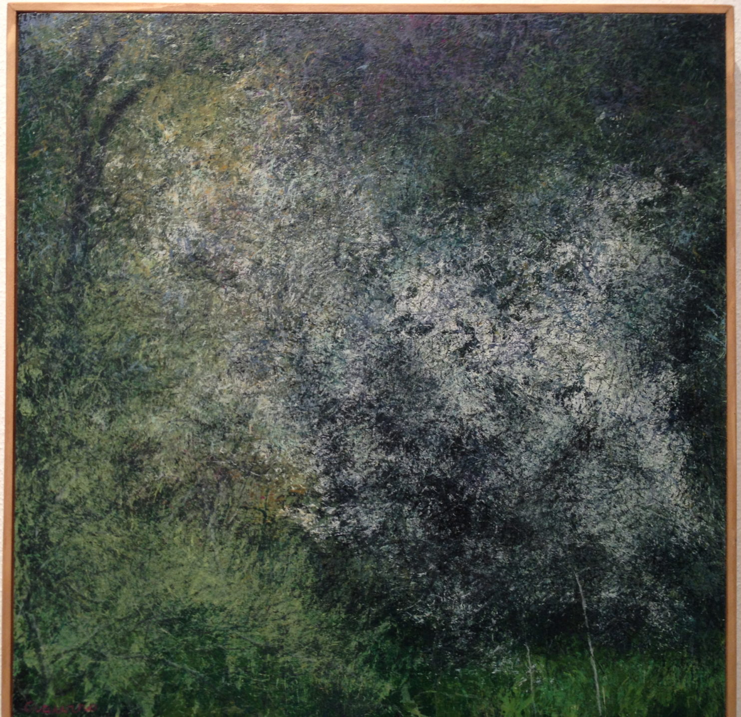 Arcangelo Ciaurro, MA QUANTA VITA C'E' IN UNO SPAZIO PICCOLISSIMO, ACRILICO E OLIO SU TAVOLA, 50 x 50 cm