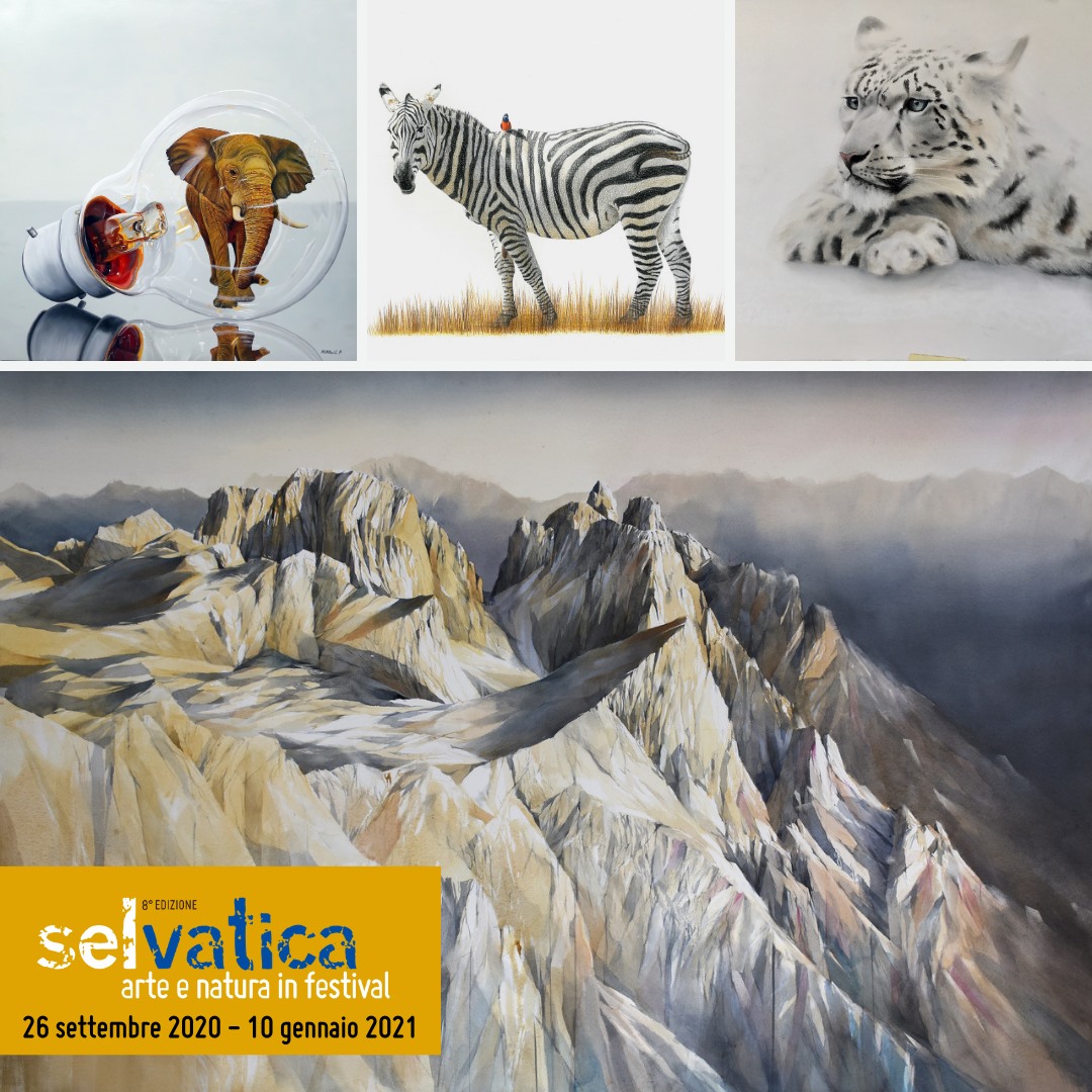 BIELLA_ arte e natura in festival_selvatica2020