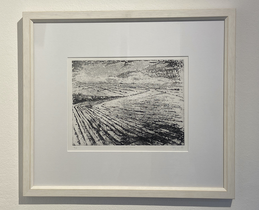 FORBICI JERNEJ, In my place, 2000:12, incisione, 24,5x33 cm con cornice_00