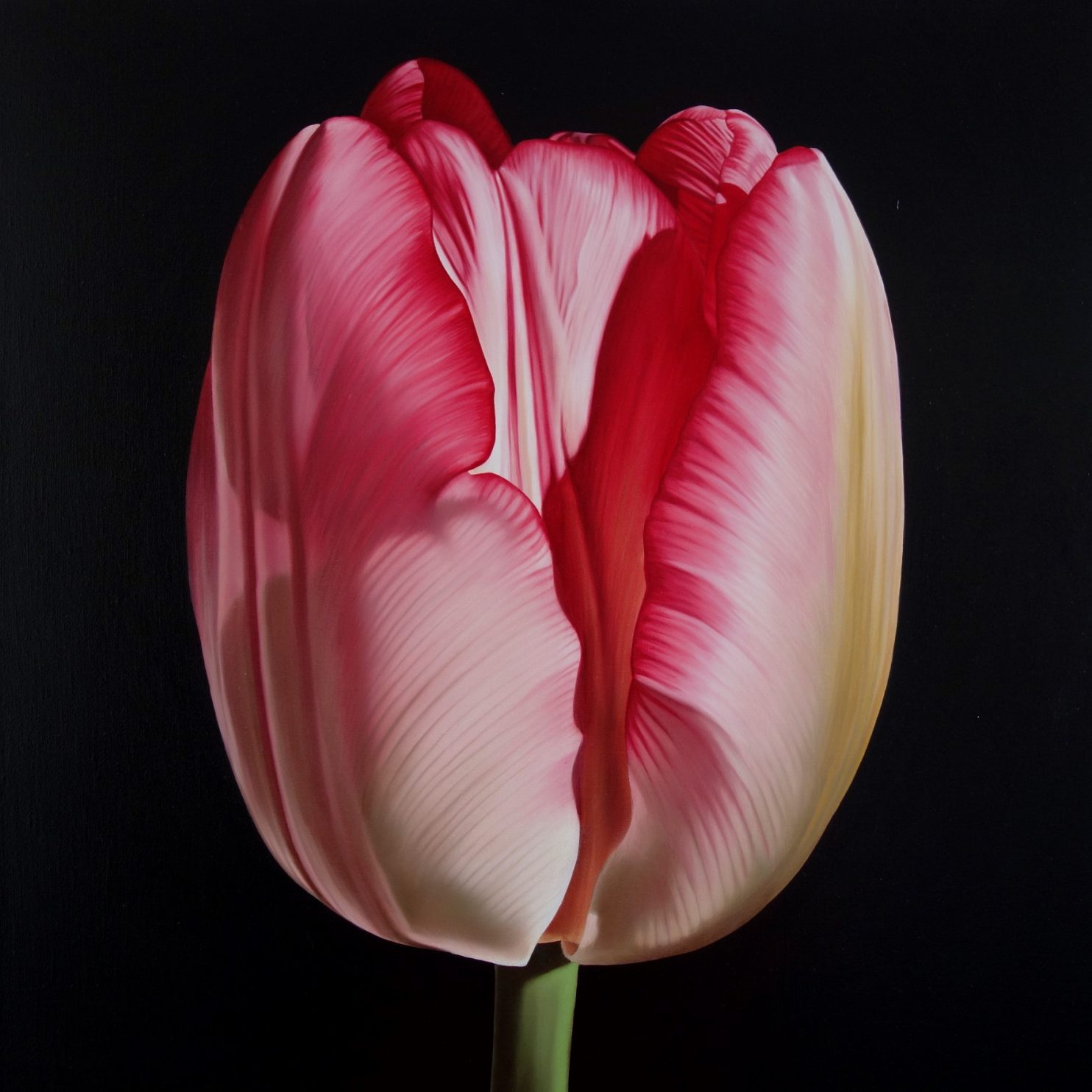 Casagrande& Recalcati, Ipervanitas 1624, 2018, olio su tela, 50x50 cm
