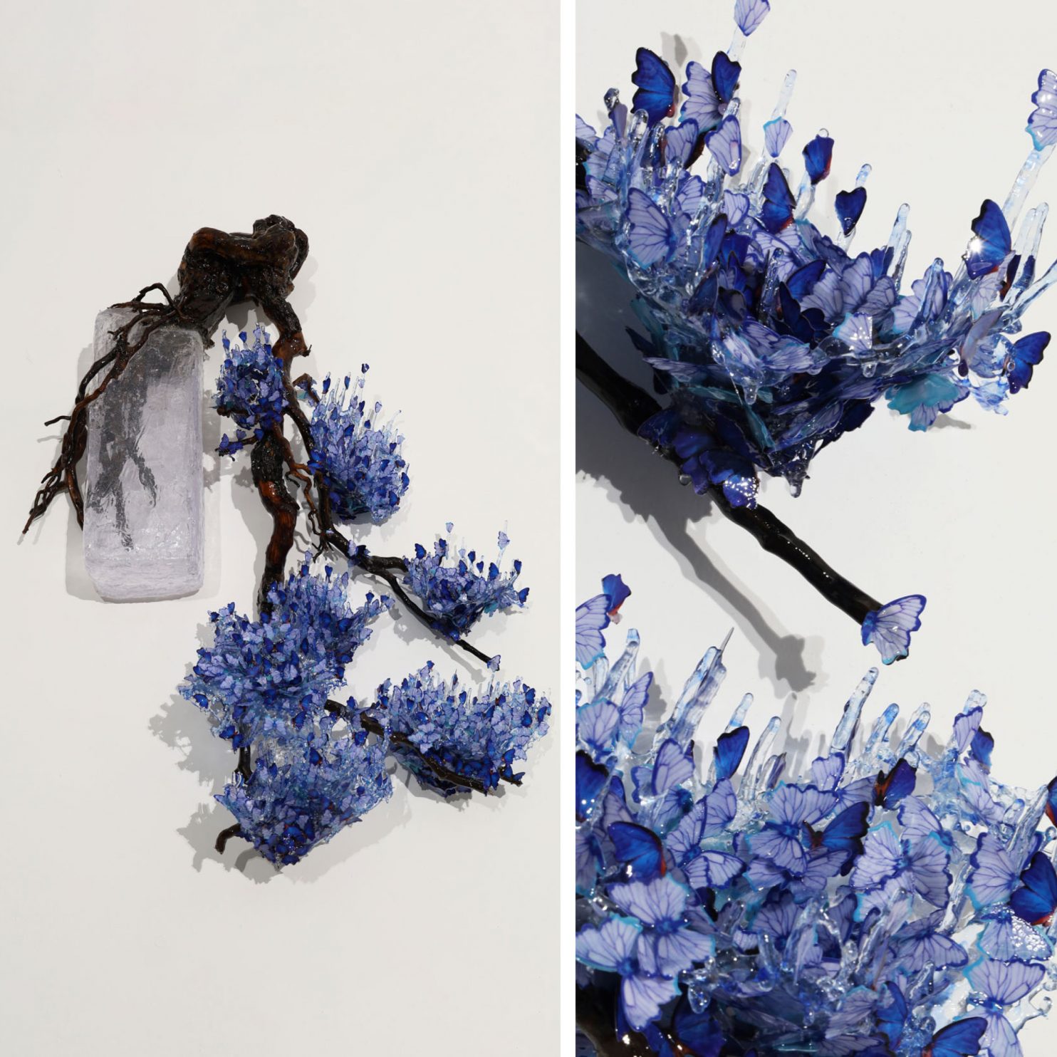 Annalù, Blue Han-Kengai (Blu a parete), 2020, vetroresina, radici, carta, inchiostri, 95x75x20 cm_blu_parete4
