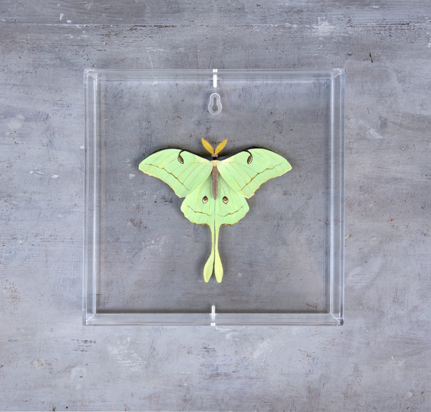 Zanin Alice, Green Owl, 2022, cartapesta, tessuto, acrilico, resina, filo, plexiglass, 20x20x4,5 cm