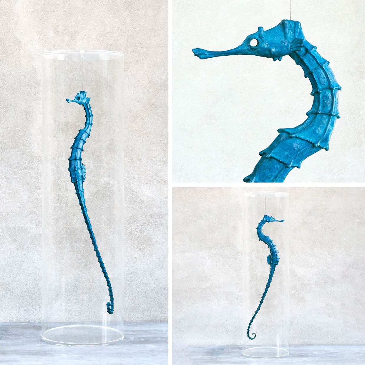 Zanin Alice, Hippocampus Minor, 2022, bronzo patinato, acciaio, plexiglass, 103x30ø cm, Ed. 9_Es 3:9