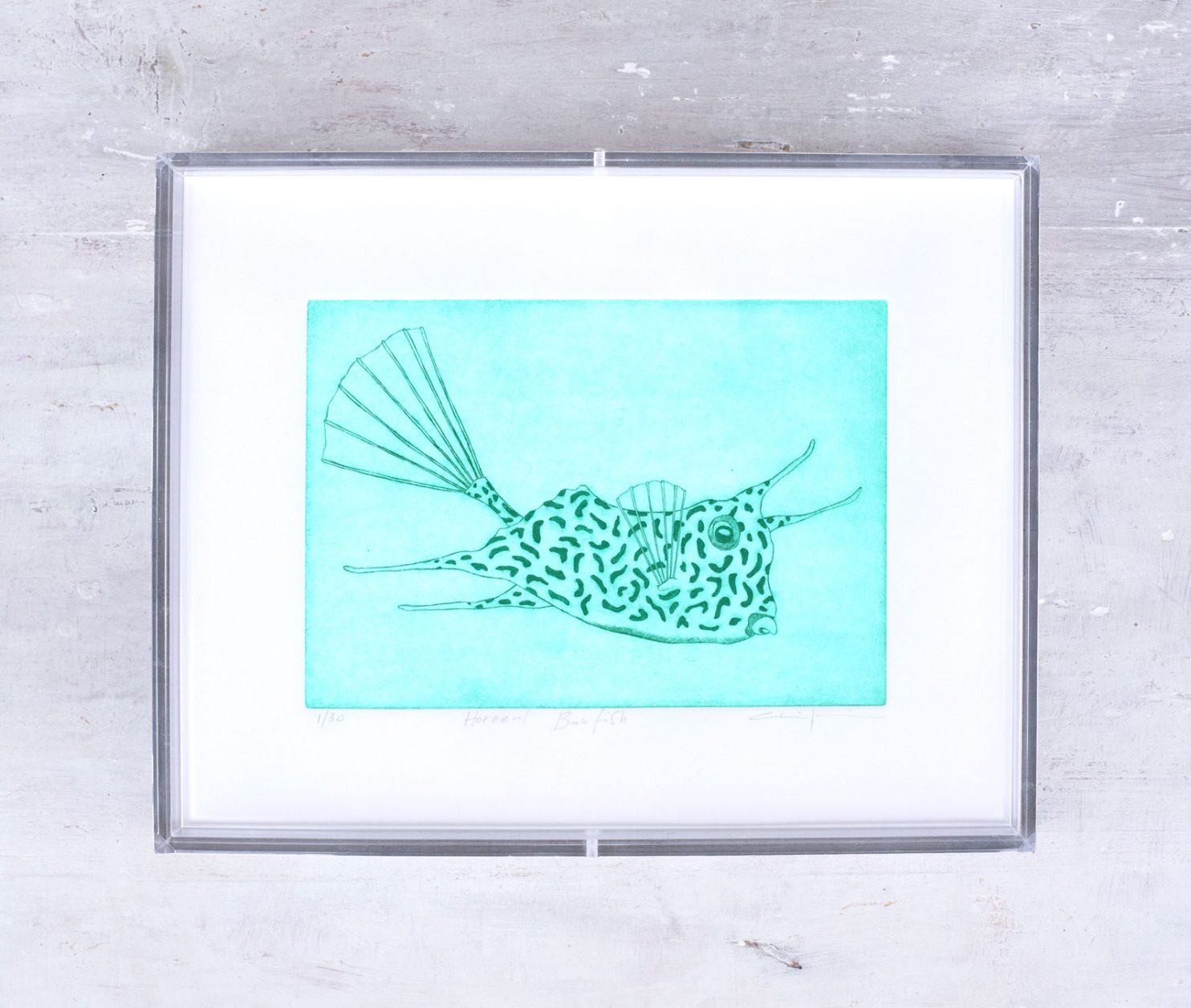 Zanin Alice, Horned Boxfish, 2022, acquaforte su carta Fabriano 225 g, 21,7x27,6x3,5 cm Ed. 30 _Es 1 30