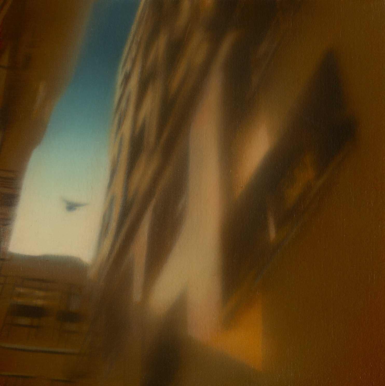 Amigues Jean Marc, San Francisco bird, 2023, olio su tavola, 20x20 cm