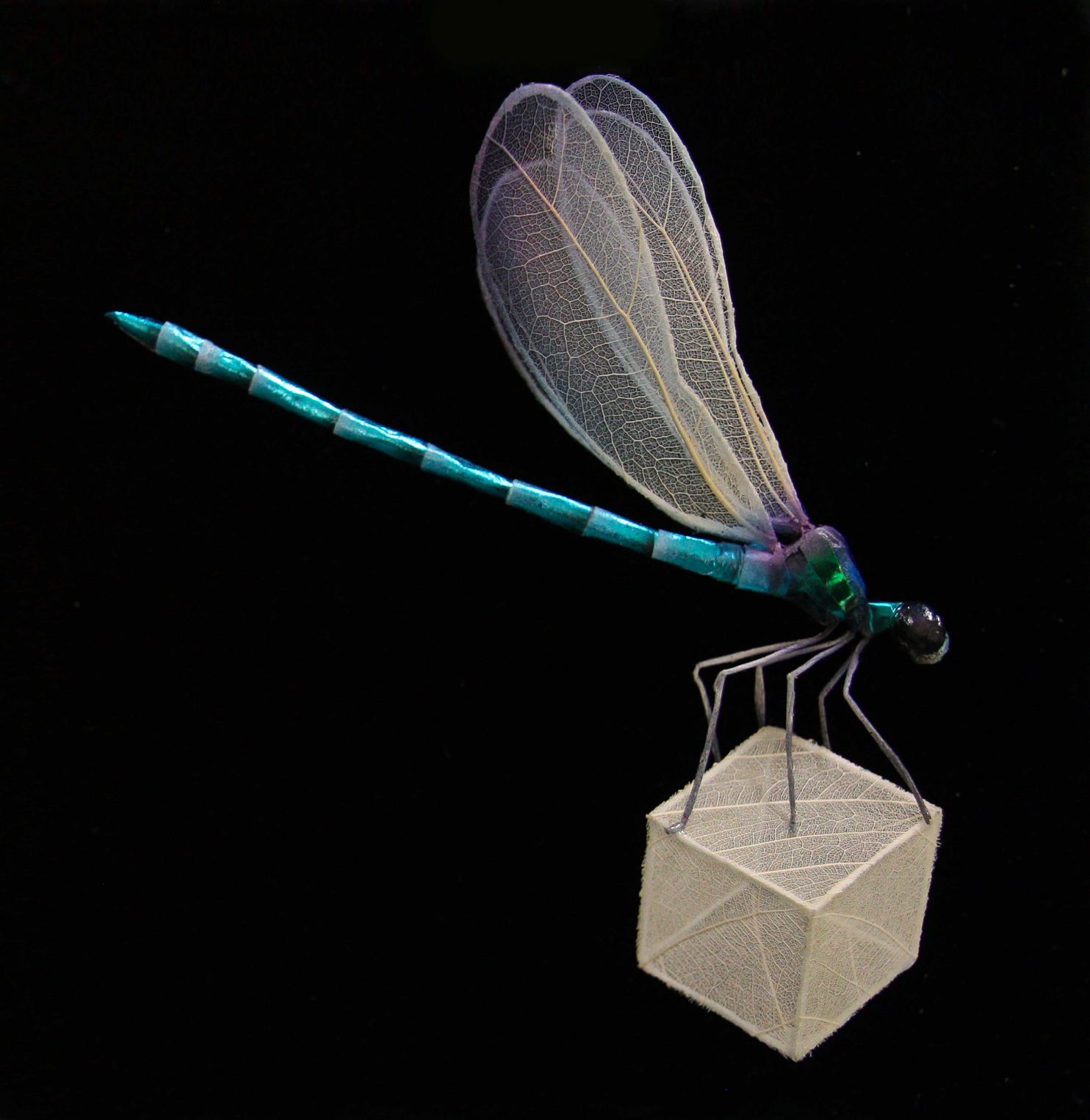 L Orma, Dragonfly made of leaves, who lives on leaves, flees the leaves where she lives, 2023, carta colorata e foglia naturale, 15x15x6,5 cm