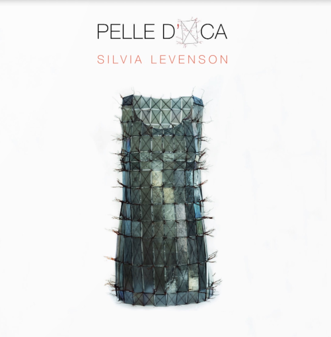 Brochure-galleria punto sull-arte-levenson-silvia-pelle-d-oca-copertina