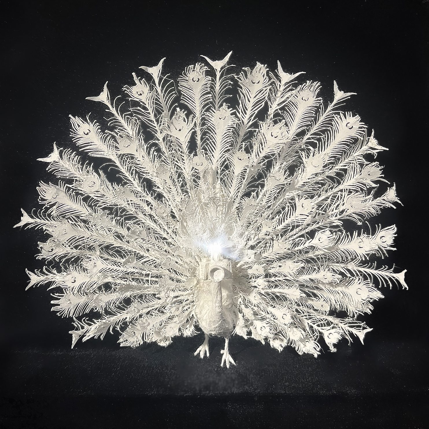 "Look at me" di L’orMa è una scultura che unisce carta e luce in una riflessione sottile sui temi dell’identità, dell’apparenza e del desiderio di essere osservati. In mostra presso la Galleria PUNTO SULL’ARTE di Varese, nella collettiva