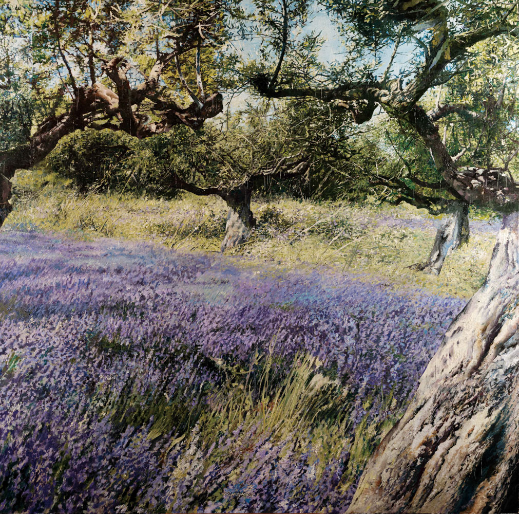 Ulivi, lavanda, timo di Matteo Massagrande – Un paesaggio immerso nella luce, dove ulivi e lavanda evocano silenzio, armonia e bellezza mediterranea. Presso la PUNTO SULL’ARTE, Varese, Italia.