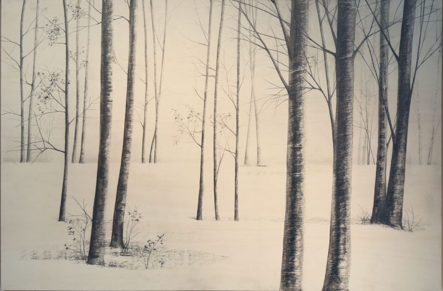 “Altrove” di Marika Vicari racconta una natura sospesa tra memoria e immaginazione. In mostra presso PUNTO SULL’ARTE di Varese, nella tripersonale Vivere l’estinzione.