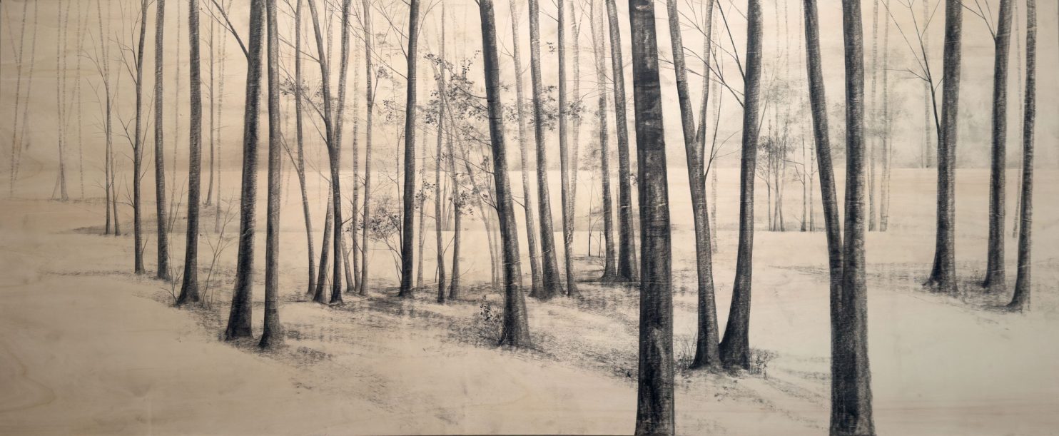 “Long Walk” di Marika Vicari evoca un viaggio silenzioso attraverso un bosco sospeso tra natura e memoria. In mostra presso PUNTO SULL’ARTE di Varese, nella tripersonale Vivere l’estinzione.