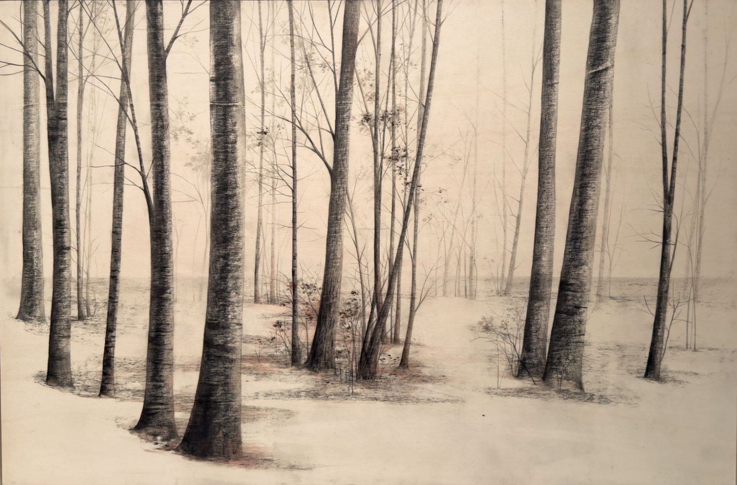 “Tracce” di Marika Vicari evoca un bosco sospeso tra natura e memoria. In mostra presso PUNTO SULL’ARTE di Varese, nella tripersonale Vivere l’estinzione.