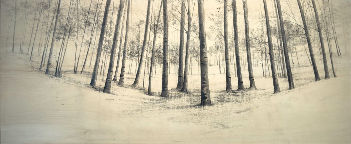 “Un fruscio leggero nel bosco” di Marika Vicari evoca una natura silenziosa e sospesa, fatta di alberi filiformi e presenze rarefatte. In mostra da PUNTO SULL’ARTE a Varese, nella tripersonale Vivere l’estinzione.