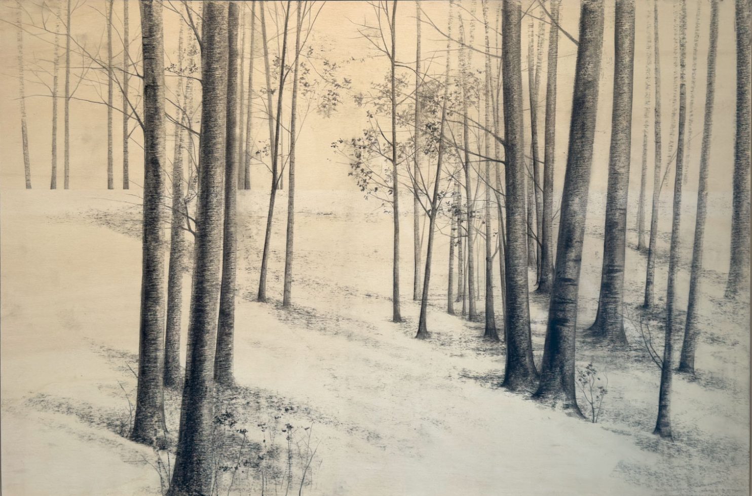 “Un po’ più lontano” di Marika Vicari evoca un bosco rarefatto che si dissolve nella distanza. In mostra presso PUNTO SULL’ARTE di Varese, nella tripersonale Vivere l’estinzione.