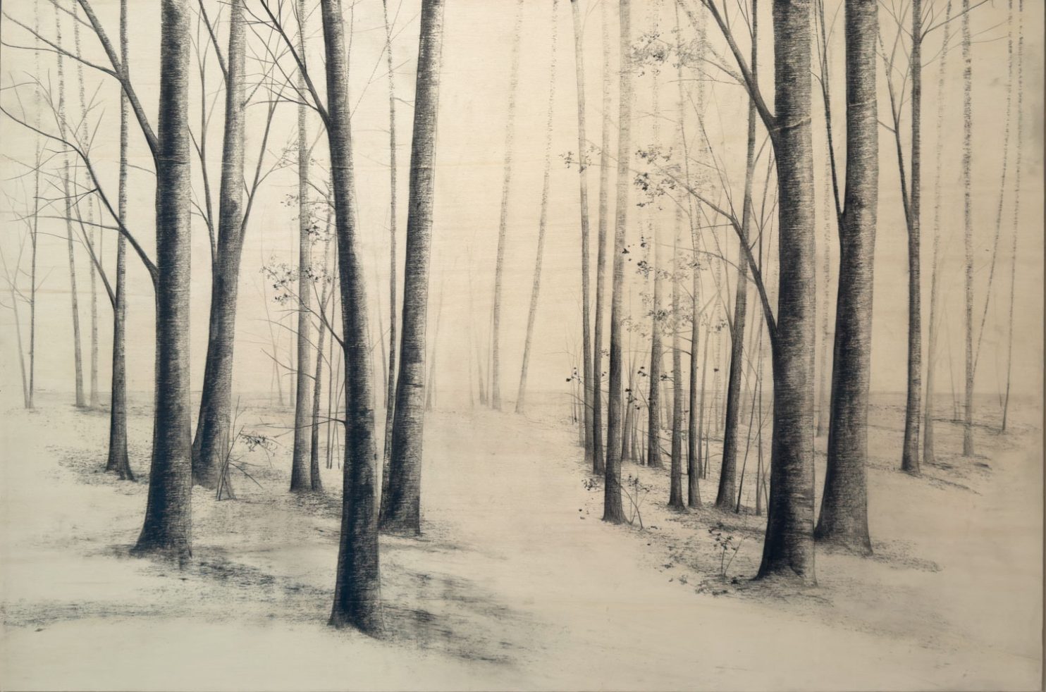 “Fratture” di Marika Vicari racconta la fragilità della natura attraverso un bosco rarefatto e silenzioso. In mostra presso PUNTO SULL’ARTE di Varese, nella tripersonale Vivere l’estinzione.